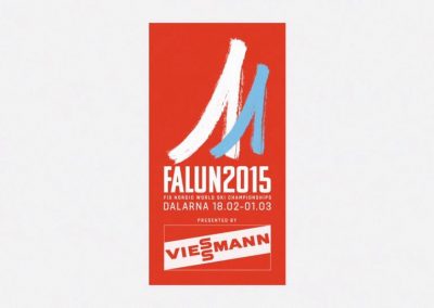 Skid-VM i Falun 2015